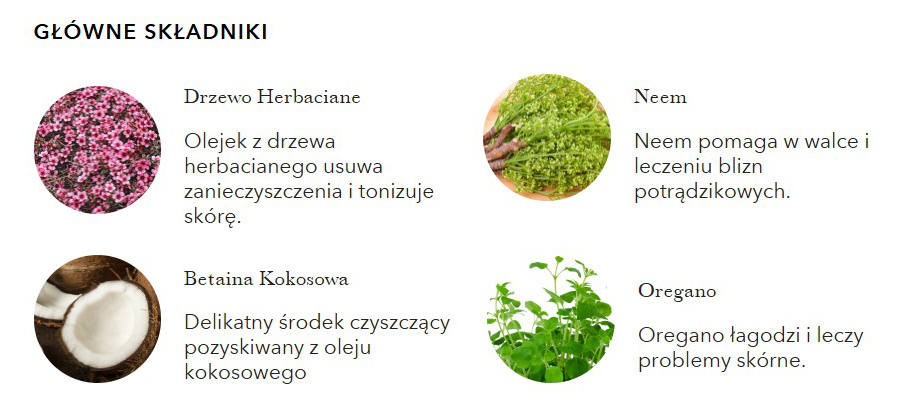 Płyn do demakijażu z drzewa herbacianego - 100% Pure Tea Tree Detox Cleanser